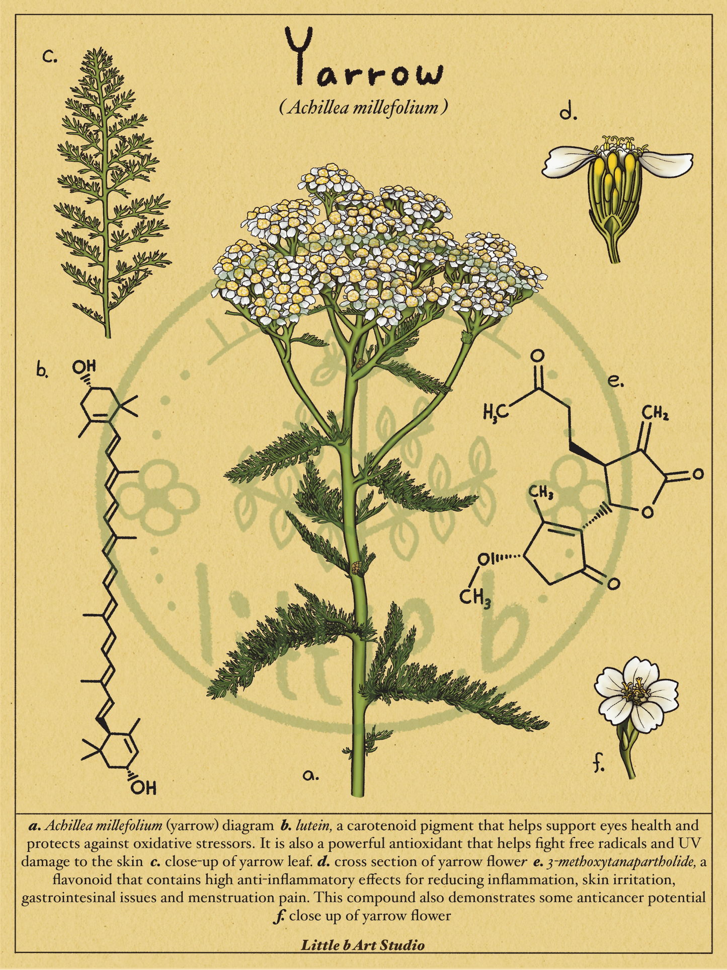 Yarrow Diagram