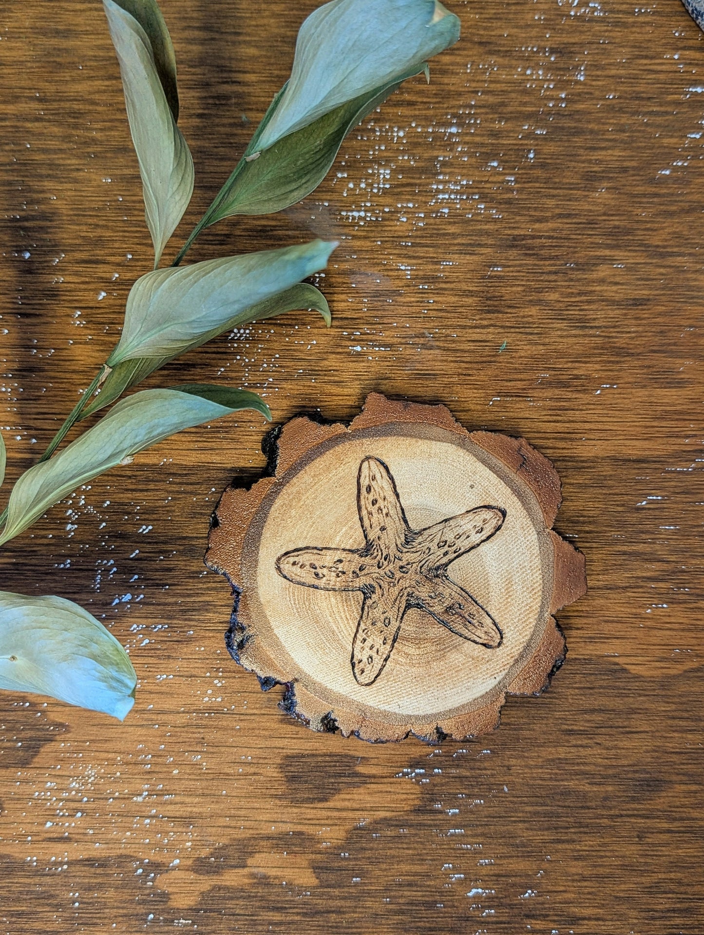 Starfish: Hand-Engraved Coaster