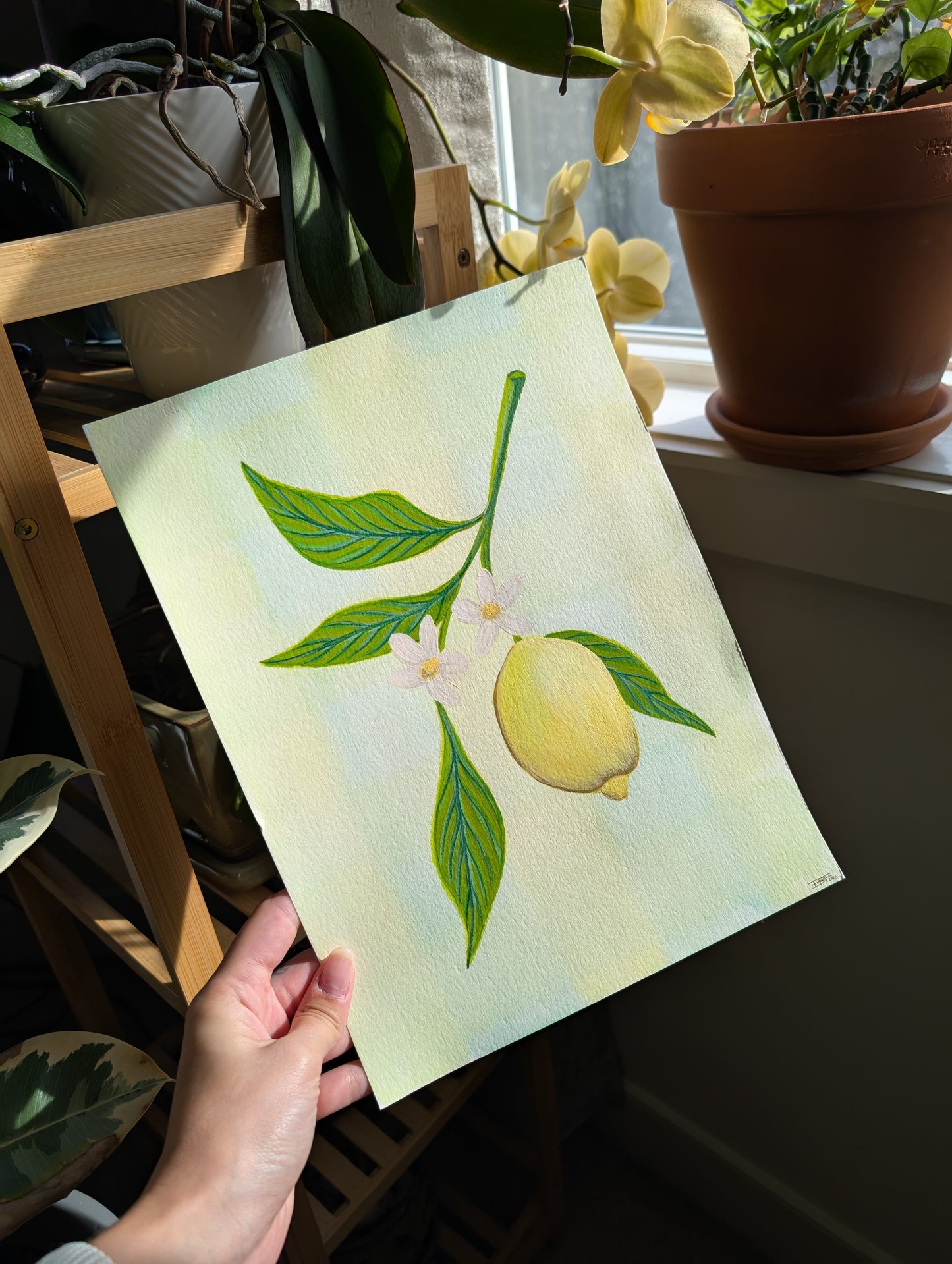 Lemon Branch Original Painting