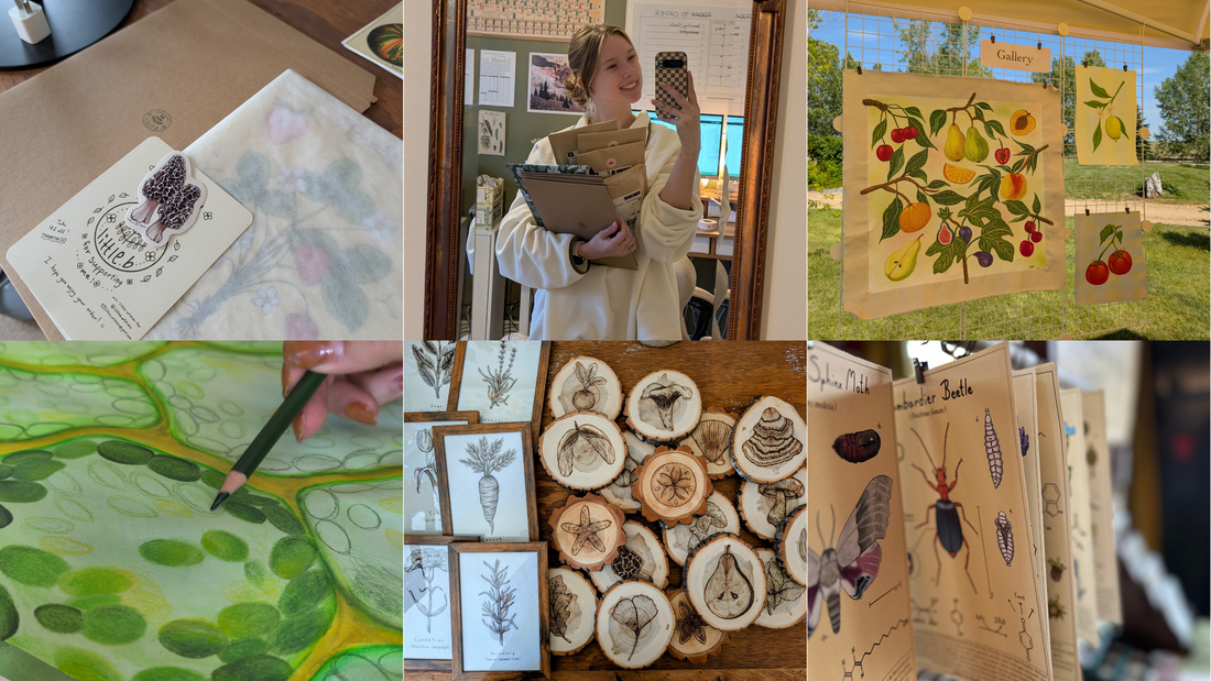 New year, new me and new goals?