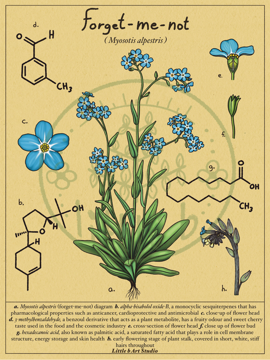 Forget-Me-Not Diagram