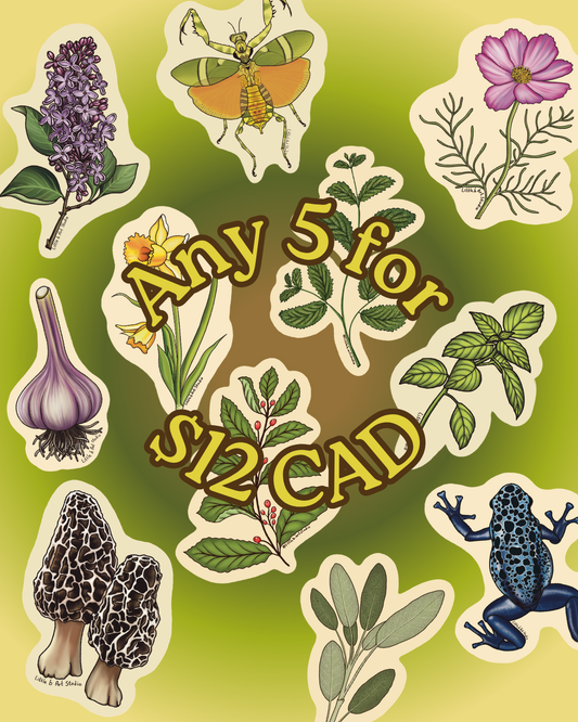 Stickers