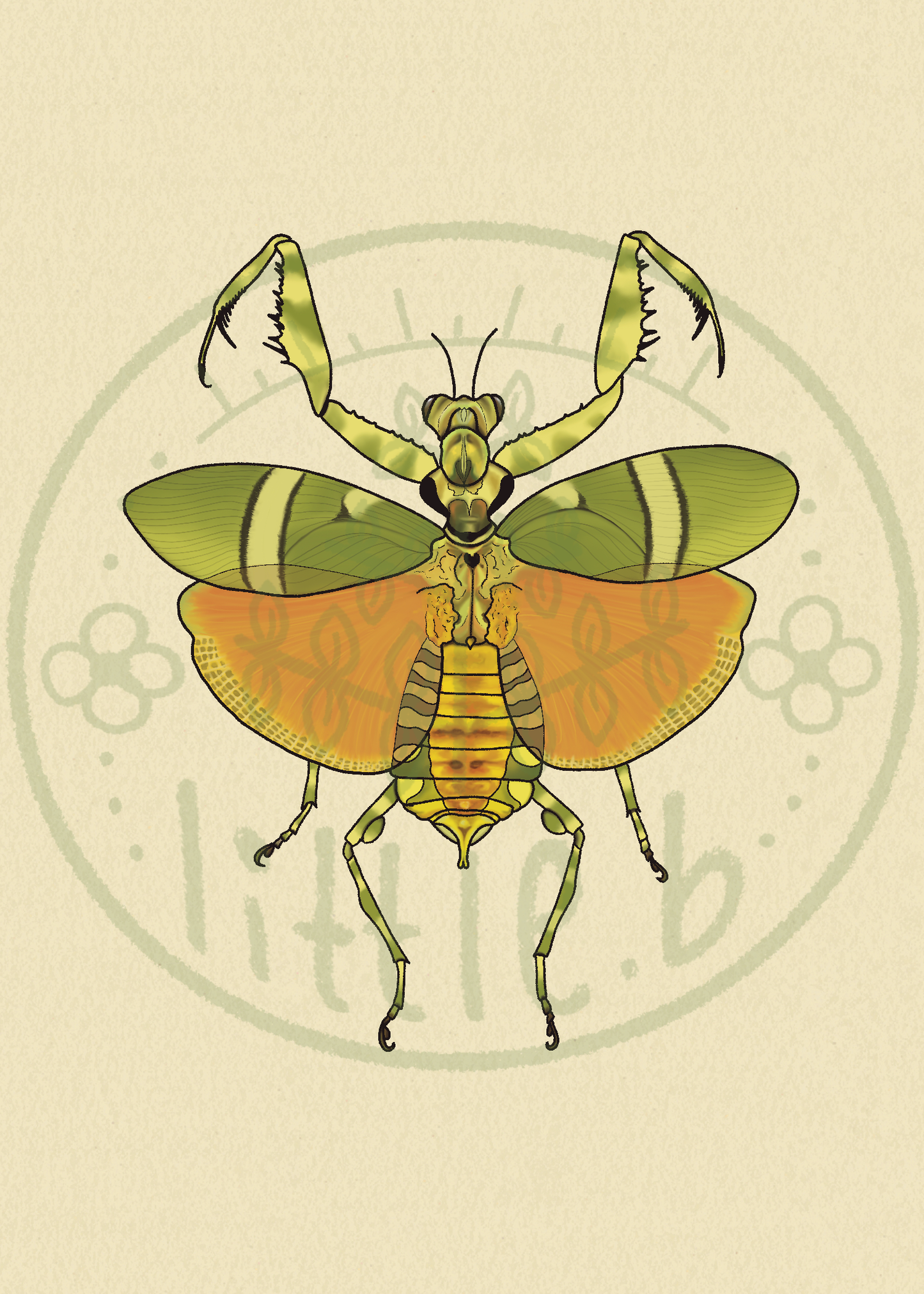 Banded Flower Mantis Mini Print