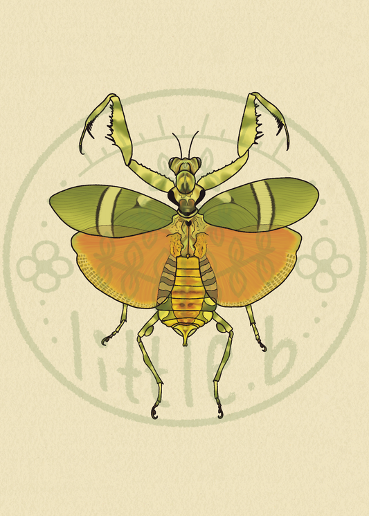Banded Flower Mantis Mini Print