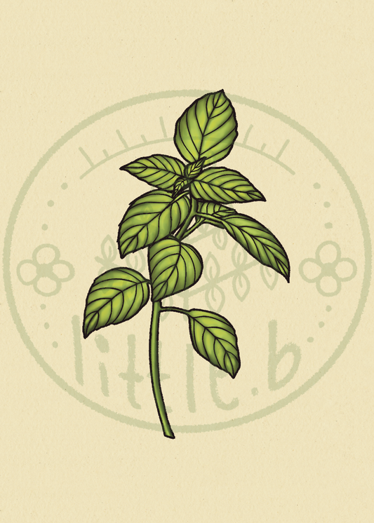 Basil Mini Print