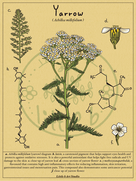 Yarrow Diagram