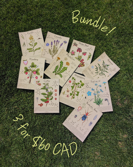 Scientific Diagram Print BUNDLE
