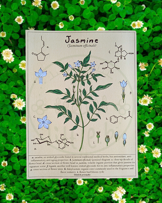 Jasmine Diagram
