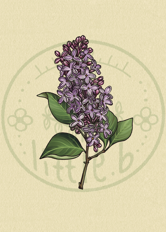 Lilac Mini Print