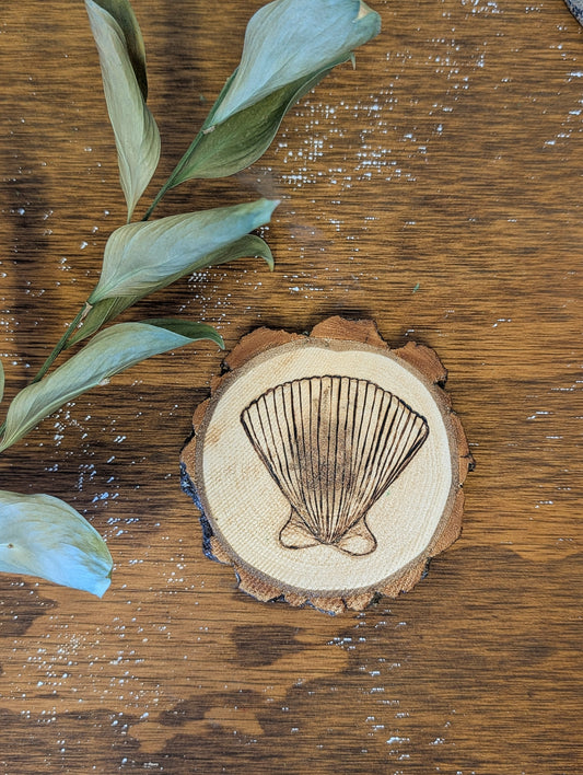 Calico Scallop: Hand-Engraved Coaster
