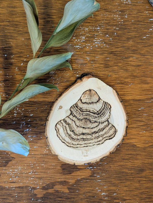 Turkey Tail: Hand-Engraved Coaster