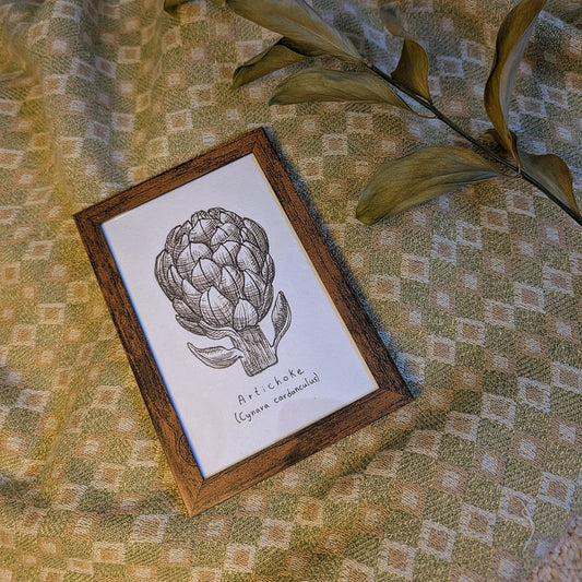 Artichoke (Cynara cardunculus) Original Drawing