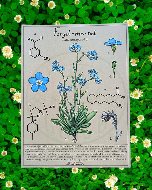 Forget-Me-Not Diagram