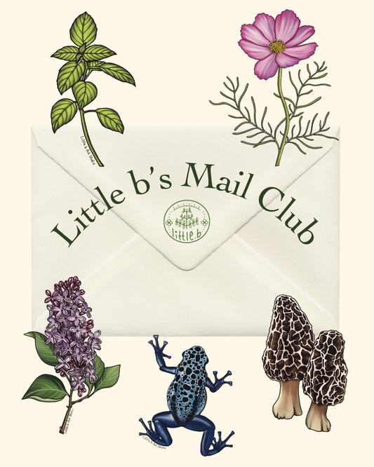 Little b's Mail Club!