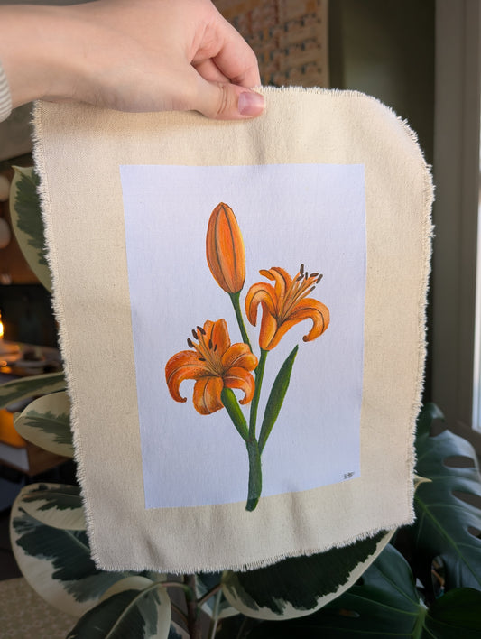 "Lilium 'Fire King' "